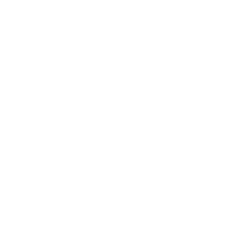 logo churrasco na pratica branco